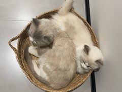 -美迦爱-牙专科·兔科·骨科诊疗中心(北苑店)