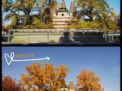 -北京石刻艺术博物馆(五塔寺)