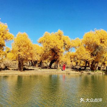 一生一定要来一次，绝不会来第二次的地方