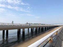 -演武大桥观景平台