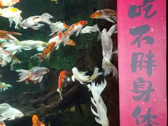 -厦门海底世界