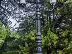 -南郊宾馆·风味自助餐厅·山东十六地市特色菜