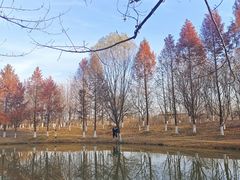 -西安浐灞国家湿地公园
