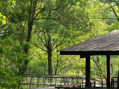 -西湖风景区-江洋畈生态公园