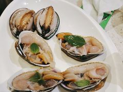 -青蓬蒸汽海鲜·深圳老字号·团建聚会(壹方城店)