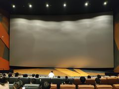 -金逸影城(宝安大仟里IMAX激光店)