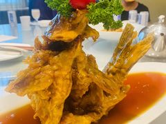 糖醋鲤鱼-城南往事·鲁菜济南菜(槐荫广场店)