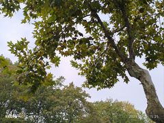 -浙江大学(玉泉校区)