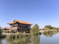 -哈素海