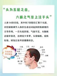 -诗碧曼养发
