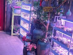 -琥珀老六龙虾(四里河店)