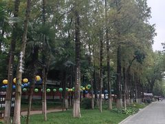 -包公祠