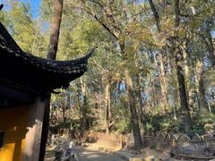 -灵岩山风景区