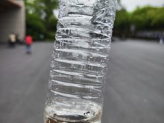 -顾村公园