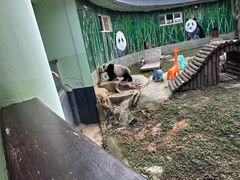 -南昌动物园