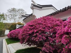 -东湖磨山景区