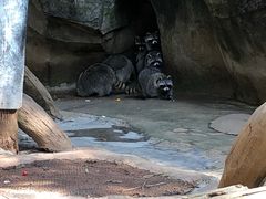 -杭州野生动物世界