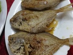 -蛇口康乐快餐鱼仔档(翠苑小区店)