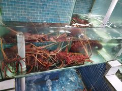 -东国海鲜火锅城(氹仔店)