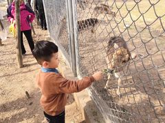 -西安秦岭野生动物园
