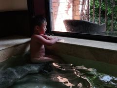 -南宫温泉水世界