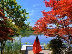 -武汉园博园(武汉自然博物馆)