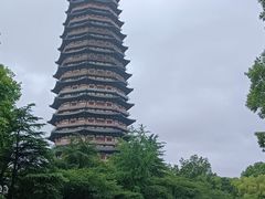 -红梅公园