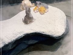 -将太无二·北美传奇寿司(荟聚购物中心西红门店)