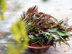 -大蓉和(双楠店)