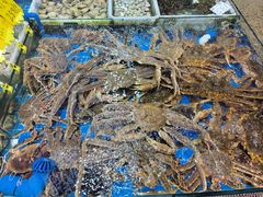 -船奇蒸汽海鲜·闽菜(八市海鲜总店)