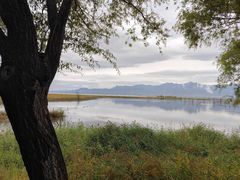 -野鸭湖国家湿地公园