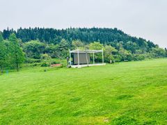 -武陵山森林公园