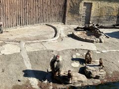 -上海野生动物园