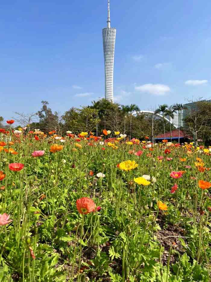 二沙岛宏城公园-"周六的天还是阴沉沉,雨下个不停,谁知道周.