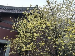-钱王祠