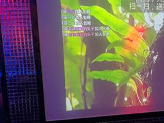 -好乐迪量贩KTV(春熙路香槟广场店)