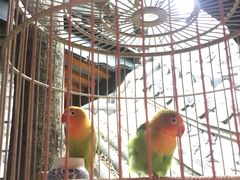 -鱼桥巷·美学川菜