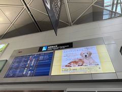 -中部国际机场