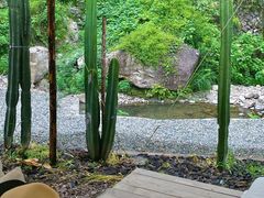 -MOJ coffee(瓯海泽雅水碓坑店)