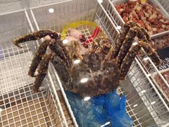 -喜来酌海鲜·饺子(和平一店)