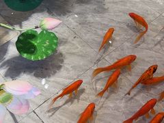 -印象天台·非遗文化美食