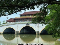 -大湾区中央湿地公园