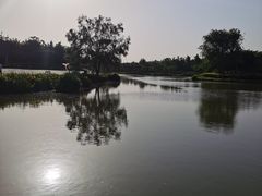 -西安浐灞国家湿地公园