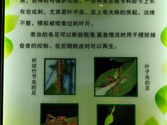 -上海昆虫博物馆