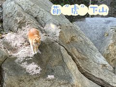 -北京凤凰岭