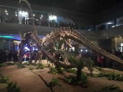-自贡恐龙博物馆