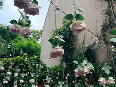 -Osteria Garden 生蚝花园餐厅(原进贤路店)