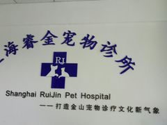 -睿金宠物医院·CT·肿瘤·骨外科