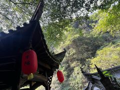 -石台牯牛降景区