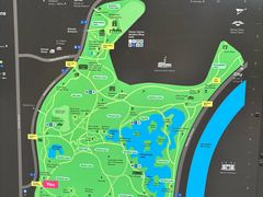 -墨尔本皇家植物园